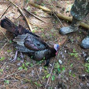 Meet your Posher, Aaron